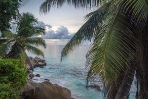 Read more about the article The Joy of Living a Tropical Beach Lifestyle